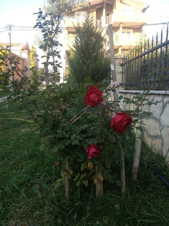 אוטייהא Apartments Svetlana מראה חיצוני תמונה